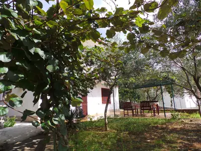 Ferienwohnung für 5 Personen (60 m²) in Omišalj 3/10