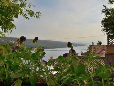 Ferienwohnung für 2 Personen (30 m²) in Opatija 5/10