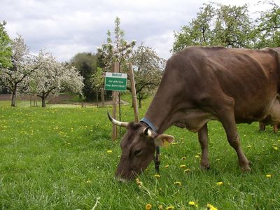 Bio ist bei uns angesagt