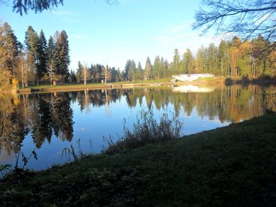 Waldsee in Lindenberg