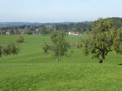 Ausblick vom Garten