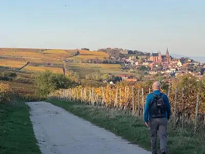 Ferienwohnung für 4 Personen (45 m²) in Oppenheim 5/10