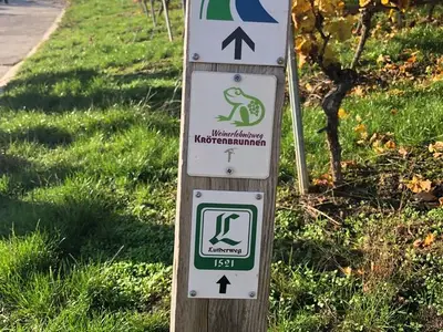 Ferienwohnung für 4 Personen (45 m²) in Oppenheim 6/10