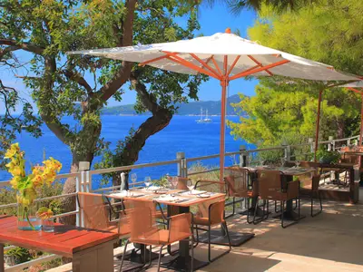 Ferienwohnung für 3 Personen (45 m²) in Orašac 9/10