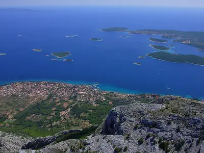 View