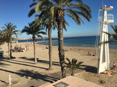 Garten. Torrevieja Strand