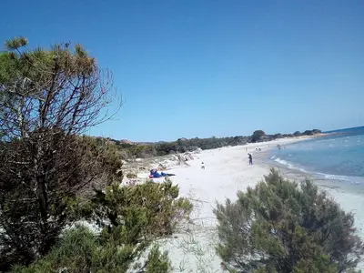 Ferienwohnung für 5 Personen (130 m²) in Orosei 7/10