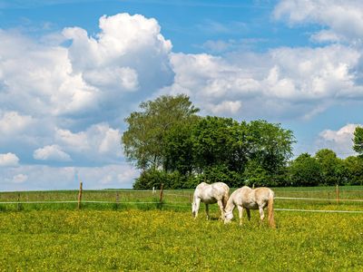 1920__output_Buero_140523_Orsfeld_Ferienwohnung_A7