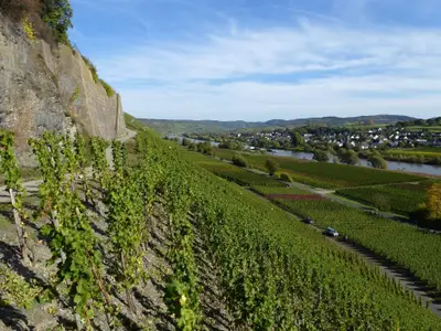 Paulinshofberg