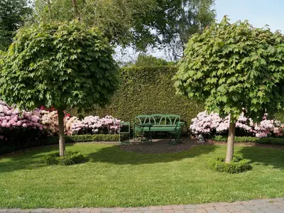 Ferienwohnung für 4 Personen (80 m²) in Ostbevern 4/10