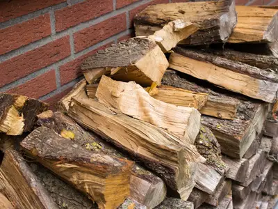 Es ist ausreichend Holz für gemütliche Kaminabende vorhanden
