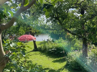 Blick in den Garten vom Haus