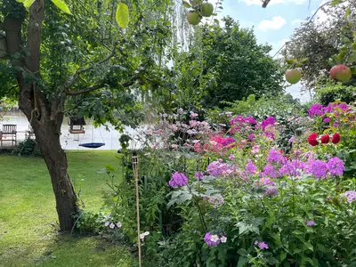 Apfelbaum