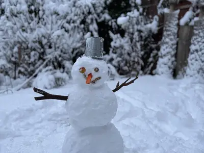 Schneemann im Garten