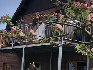 Ferienwohnung für 8 Personen (83 m²) in Osterbruch