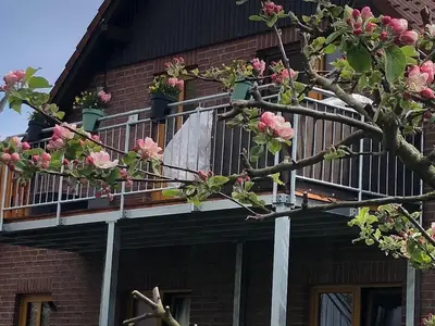 Ferienwohnung für 8 Personen (83 m²) in Osterbruch 1/10