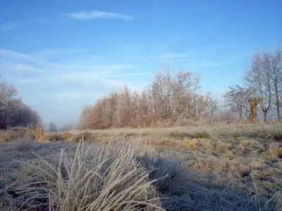Ferienwohnung für 5 Personen (55 m²) in Osterbruch 1/7