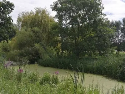 Ferienwohnung für 5 Personen (65 m²) in Groß Rossau 6/10