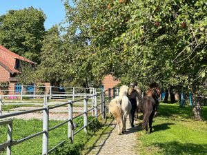 Ferienwohnung für 4 Personen (60 m²) in Osterbyholz