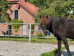 Ferienwohnung für 4 Personen (75 m²) in Osterbyholz