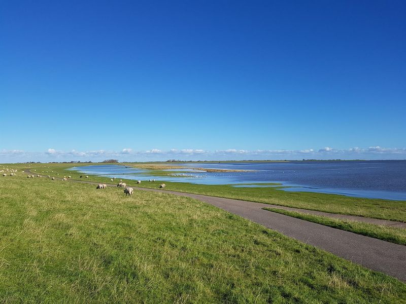 Ferienwohnung für 4 Personen (90 m²) ab 90 € (ID:19273339) Osterhever