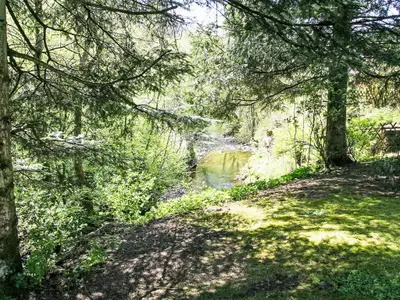 Ferienwohnung für 4 Personen (100 m²) in Osterode am Harz 6/10