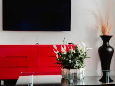 Ferienwohnung für 2 Personen (65 m²) in Osterode am Harz 9/10