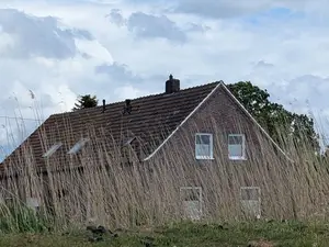 Ferienwohnung für 3 Personen (75 m²) in Ostrhauderfehn