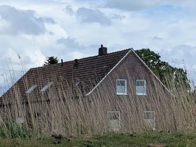 Ferienwohnung für 3 Personen (75 m²) in Ostrhauderfehn 1/10