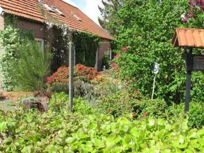 Ferienwohnung für 4 Personen (65 m²) in Ostrhauderfehn 5/10