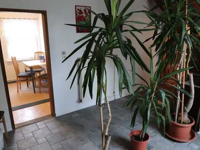 Ferienwohnung für 3 Personen (40 m²) in Ostseebad Kühlungsborn 5/10