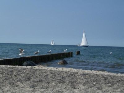 Ferienwohnung für 3 Personen (60 m²) in Ostseebad Kühlungsborn 10/10