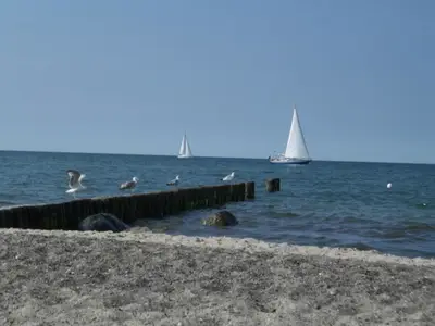 Ferienwohnung für 3 Personen (60 m²) in Ostseebad Kühlungsborn 10/10