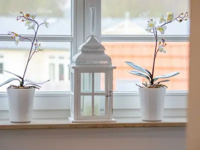 Ferienwohnung für 6 Personen (98 m²) in Ostseebad Kühlungsborn 8/10