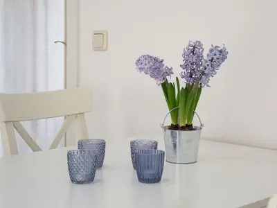Ferienwohnung für 4 Personen (50 m²) in Ostseebad Kühlungsborn 8/10