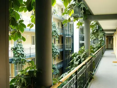Ferienwohnung für 4 Personen (55 m²) in Ostseebad Kühlungsborn 10/10