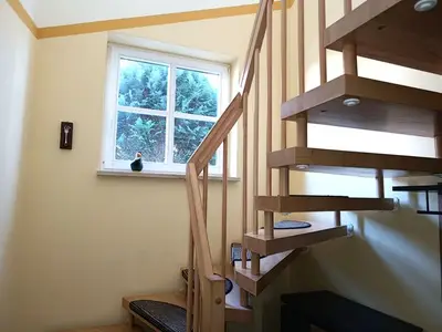 Ferienwohnung für 3 Personen (39 m²) in Ostseebad Kühlungsborn 7/10