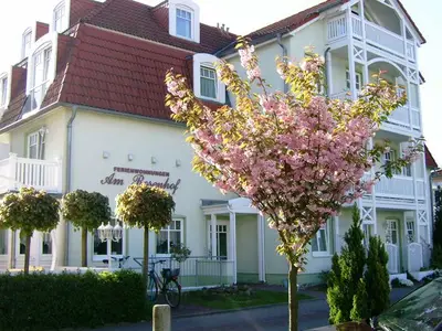 Ferienwohnung für 4 Personen (34 m²) in Ostseebad Kühlungsborn 6/10