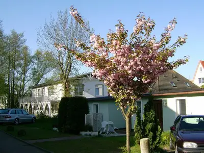 Ferienwohnung für 3 Personen (34 m²) in Ostseebad Kühlungsborn 6/10