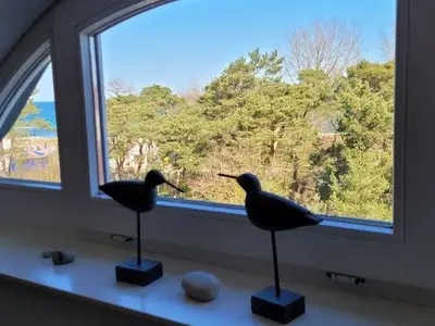 Ferienwohnung für 4 Personen (45 m²) in Ostseebad Kühlungsborn 5/9