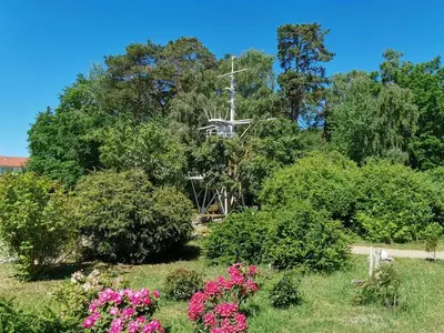 Ferienwohnung für 4 Personen (34 m²) in Ostseebad Kühlungsborn 9/10