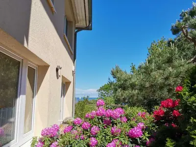 Ferienwohnung für 4 Personen (34 m²) in Ostseebad Kühlungsborn 10/10