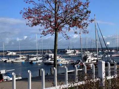 Ferienwohnung für 3 Personen (61 m²) in Ostseebad Kühlungsborn 6/10