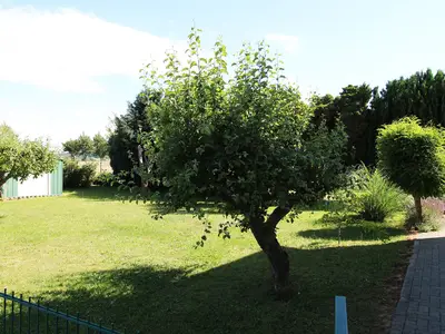 Gartenblick