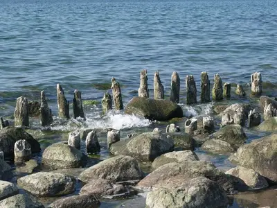 Ferienwohnung für 2 Personen (28 m²) in Ostseebad Kühlungsborn 3/10