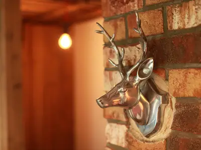 Ferienwohnung für 2 Personen (40 m²) in Ostseebad Kühlungsborn 10/10