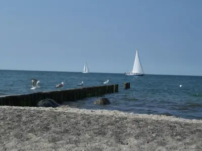 Ferienwohnung für 3 Personen (60 m²) in Ostseebad Kühlungsborn 10/10
