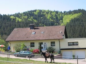 Ferienwohnung für 5 Personen (95 m²) in Ottenhöfen im Schwarzwald