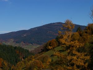 19119566-Ferienwohnung-4-Ottenhöfen im Schwarzwald-300x225-5