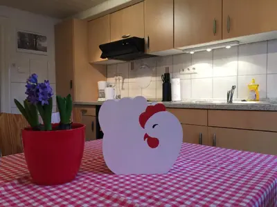 Die Küche, hier macht das Kochen Spass